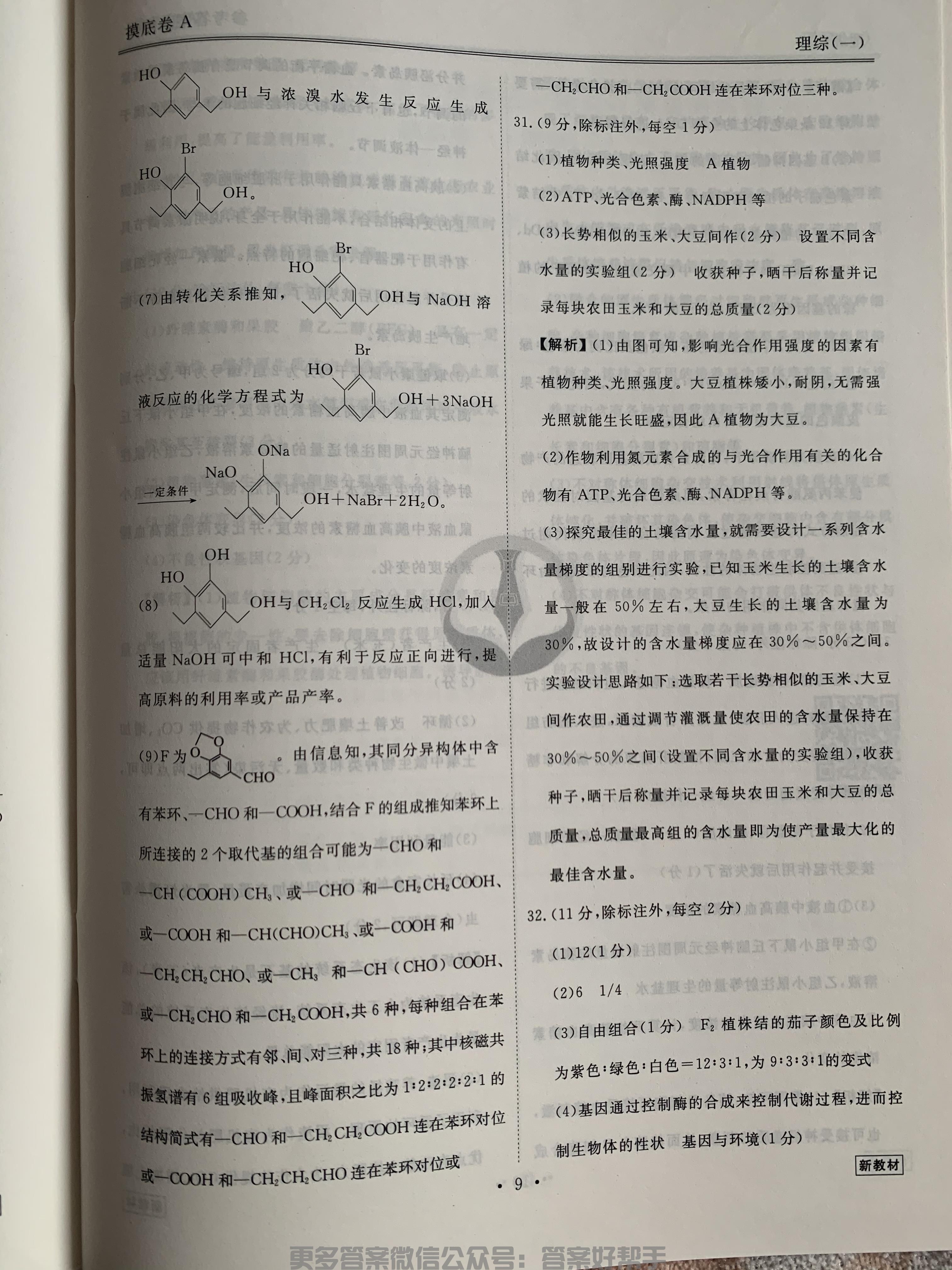 第81页.jpg