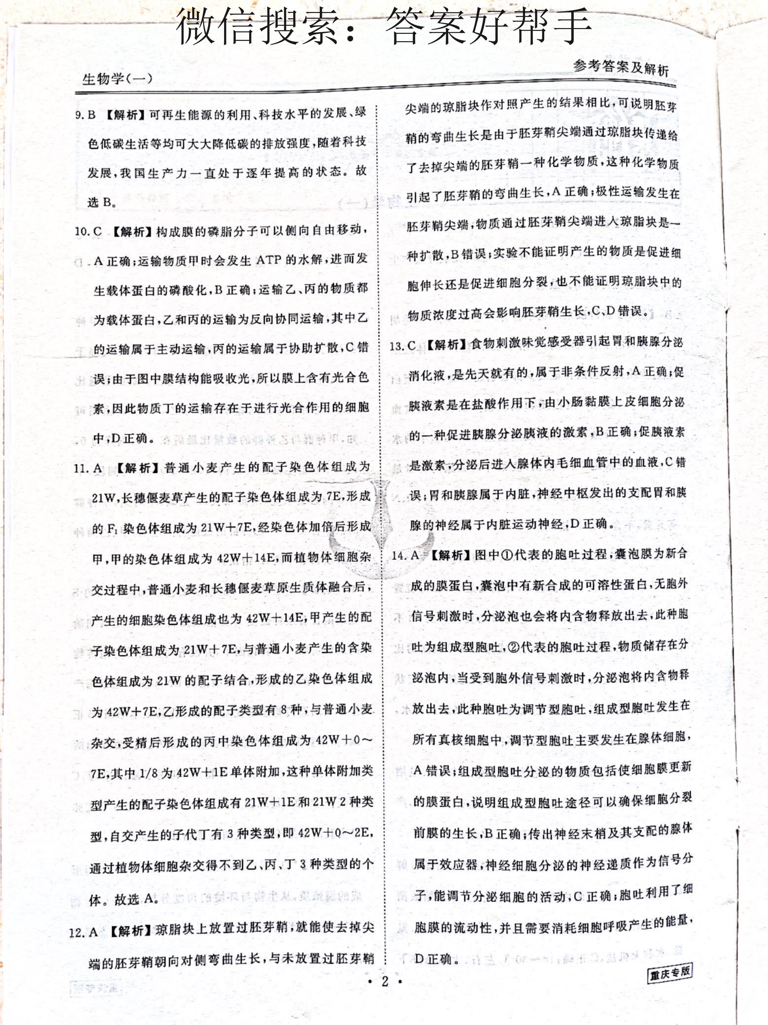第3页.jpg