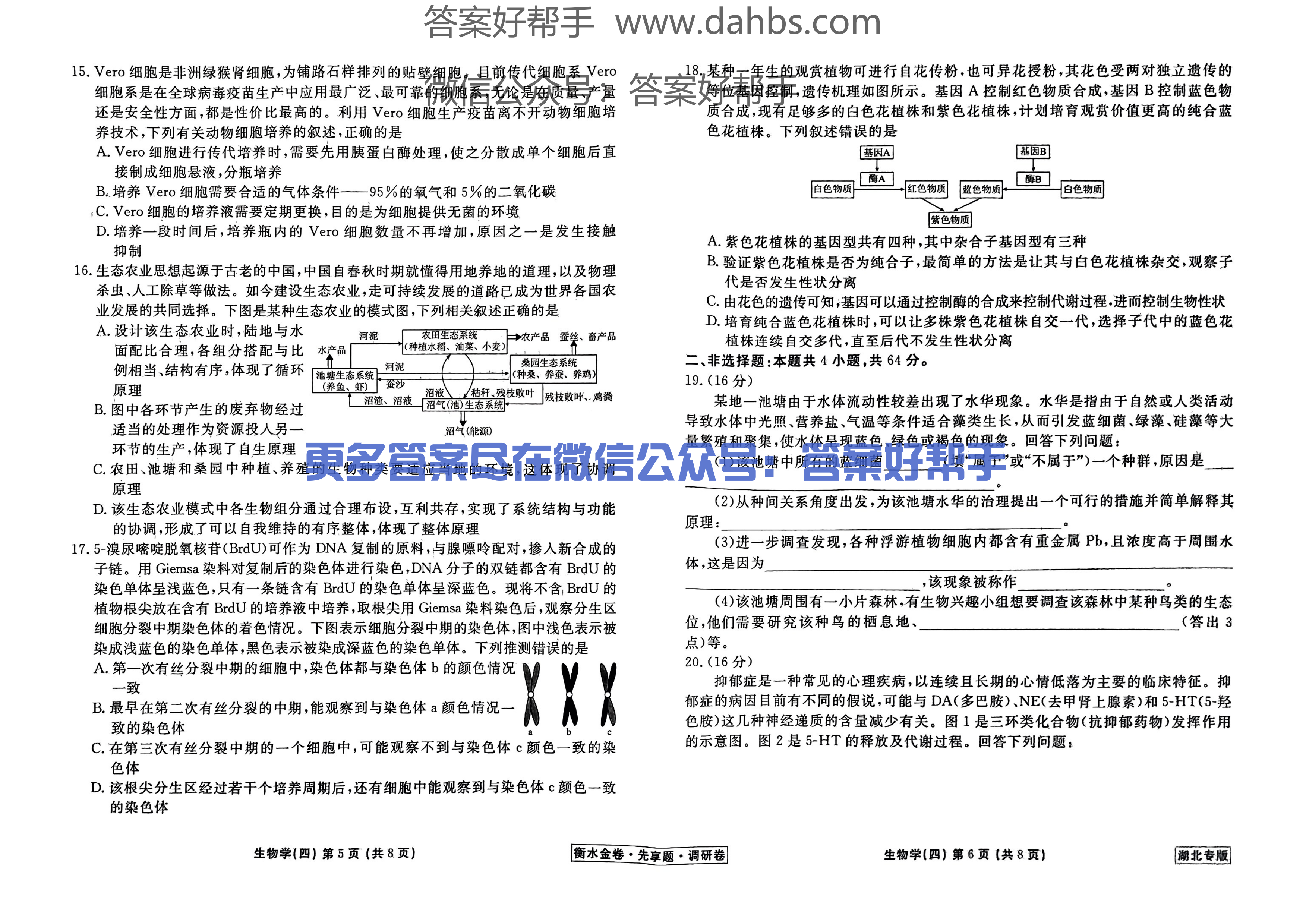 湖北生物试题_14.png